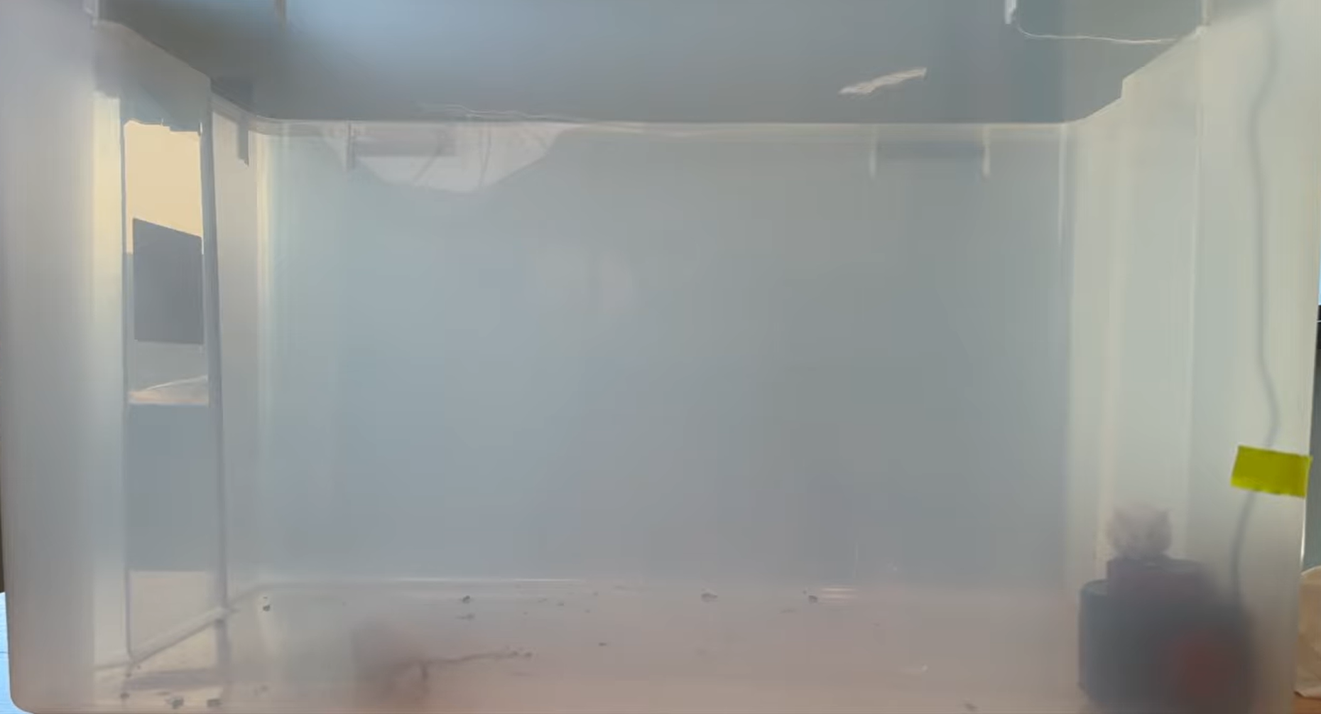 mouse eating the bait on top of the XMUNIHA ultrasonic rodent repellent