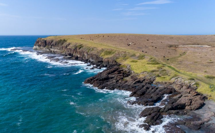 Kiama Coastal Walk on the south coast