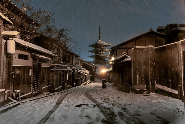 kyoto, winter, night