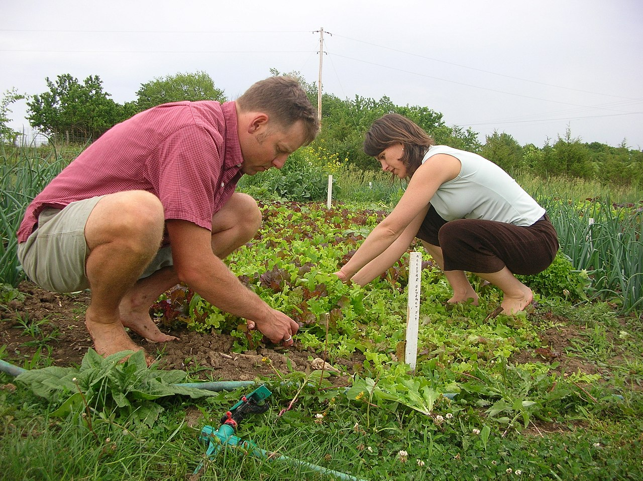 man, gardening, women