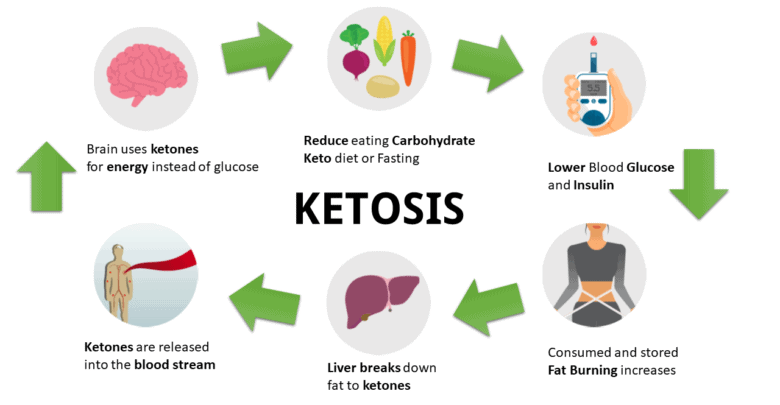Ketosis - The process of getting into ketosis