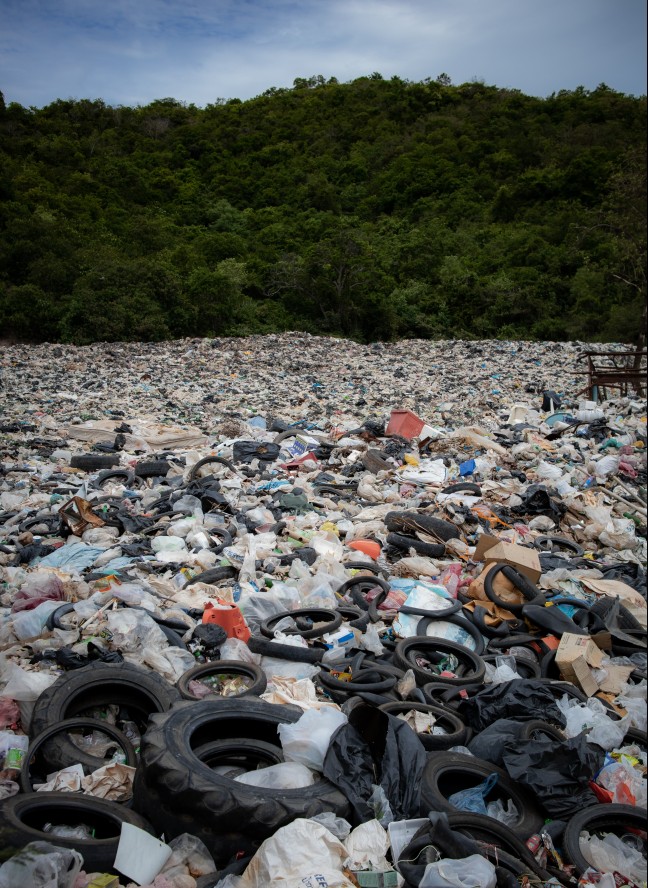 Photo of an Environment Pollution