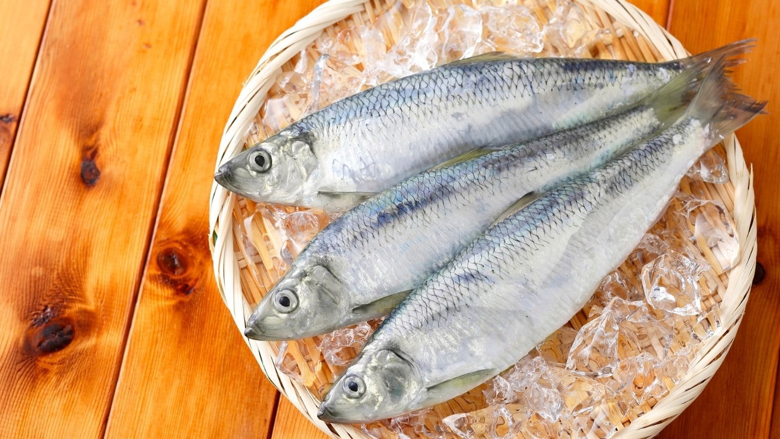 Three fresh mackerel on ice in a woven basket on wooden table