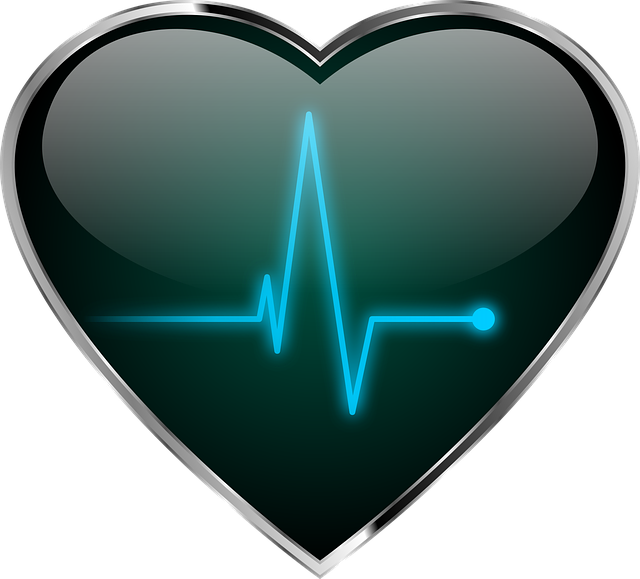 heart, pulse, cardiovascular health