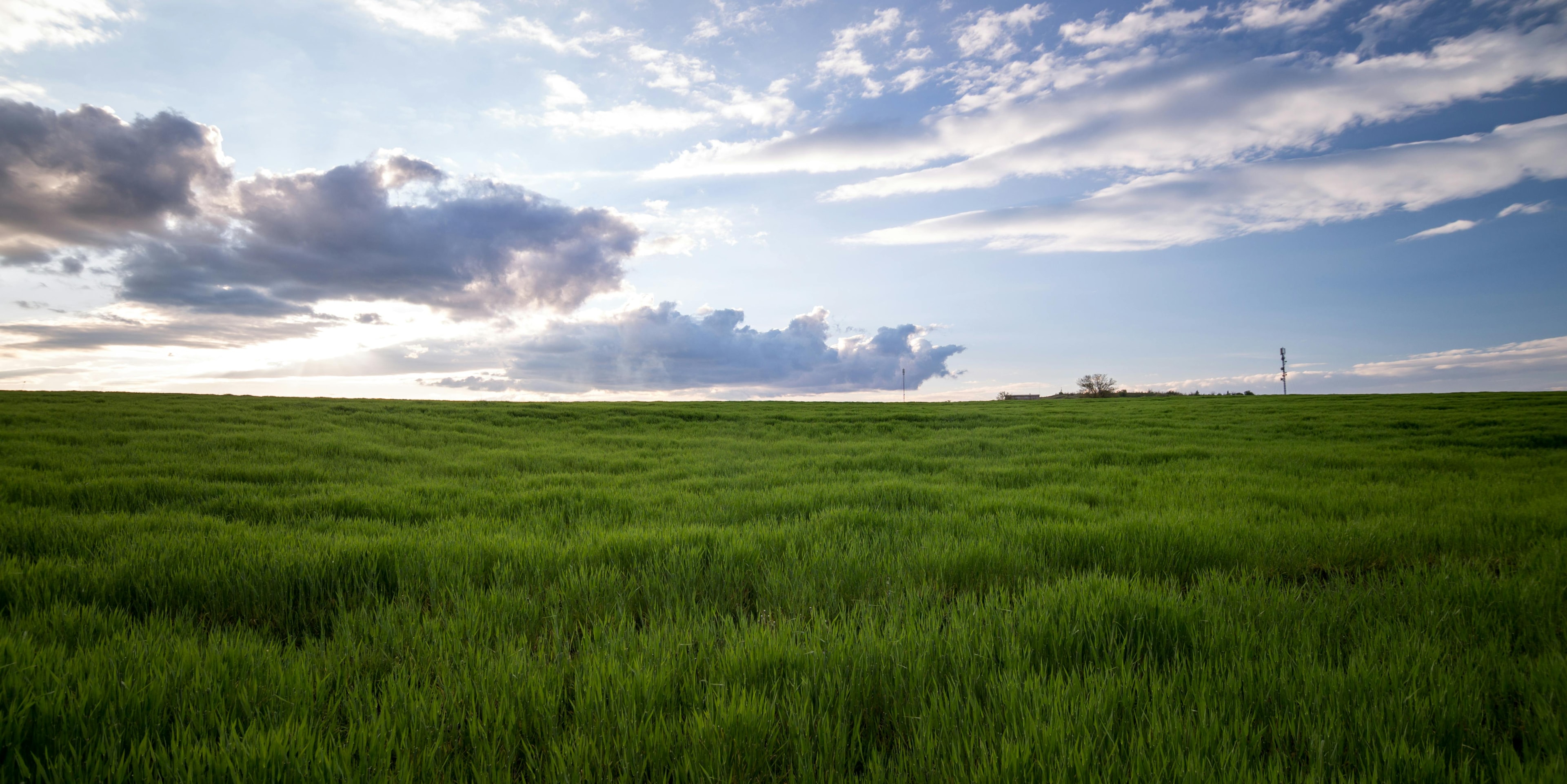 green field