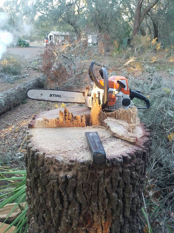 how to grind a stump