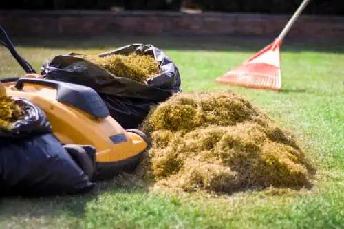 lawn thatch, lawn mower, thatch layer