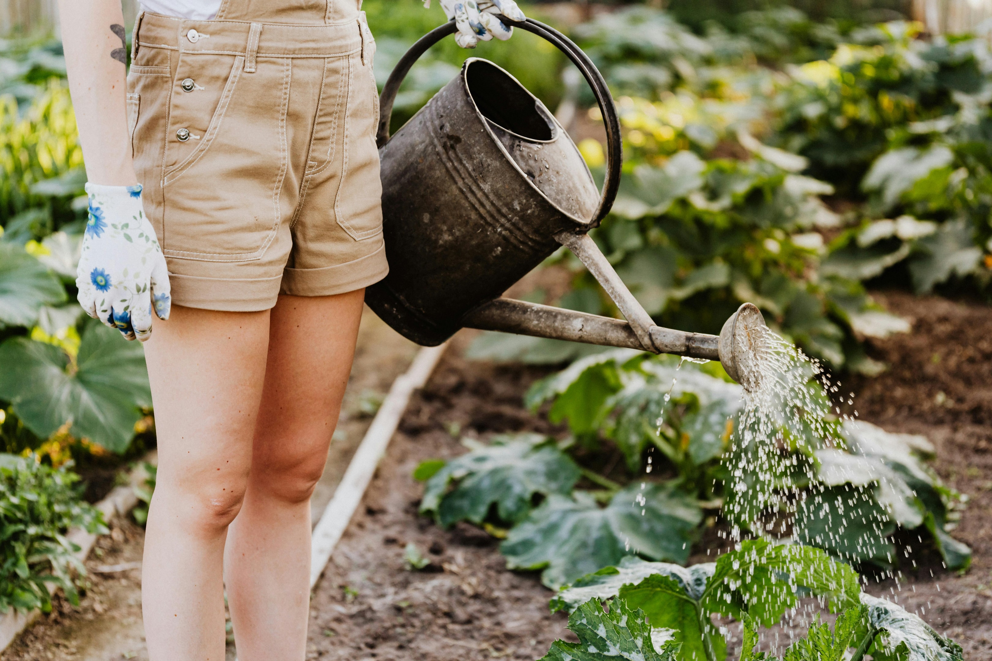 Protective gloves for gardening tasks.