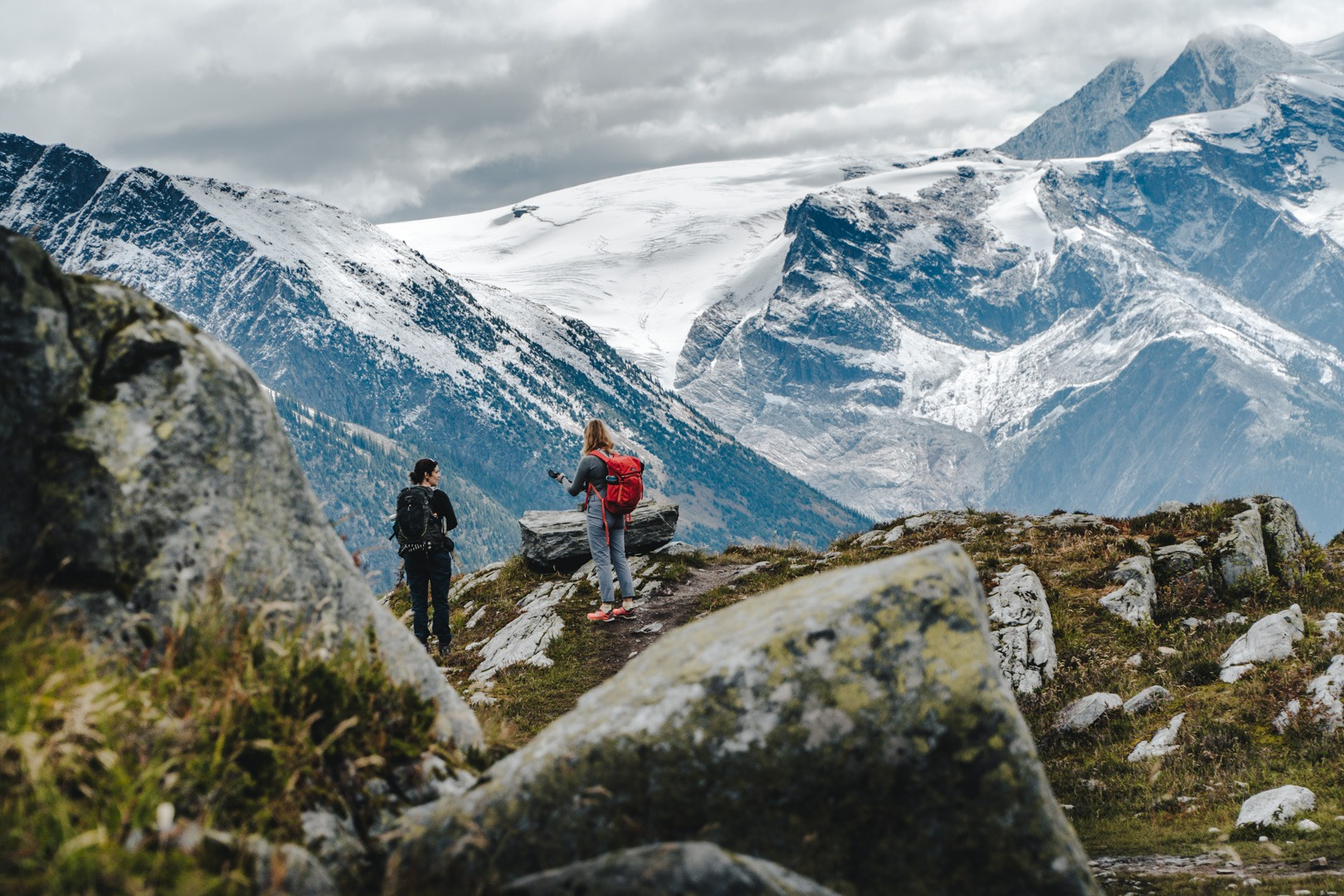 alpine club and glacier house