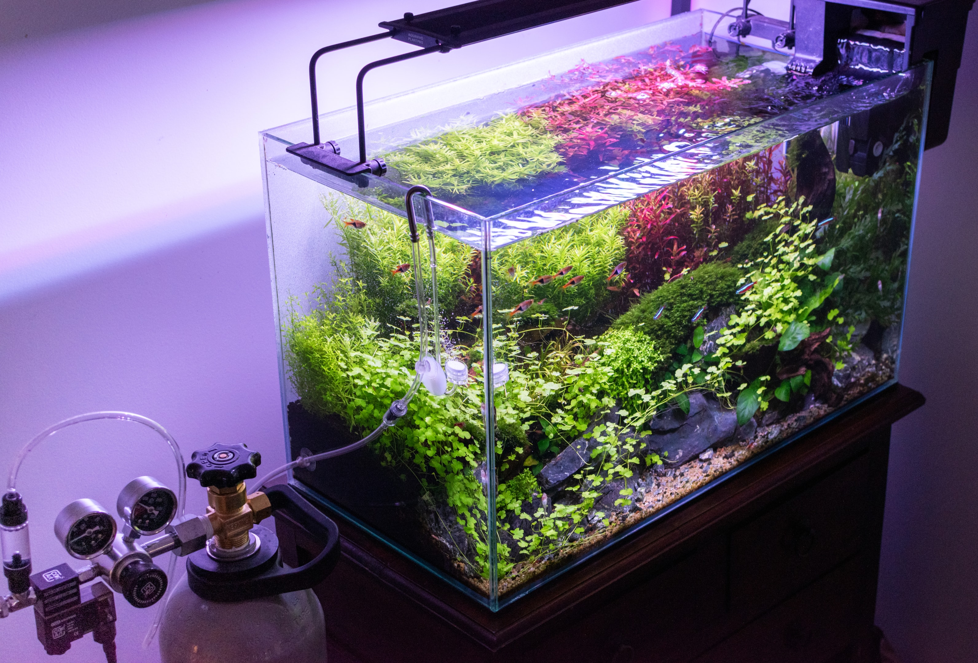 Aquarium Activated Carbon - 2 Quart Granular Charcoal For Fish Tank Water Purification