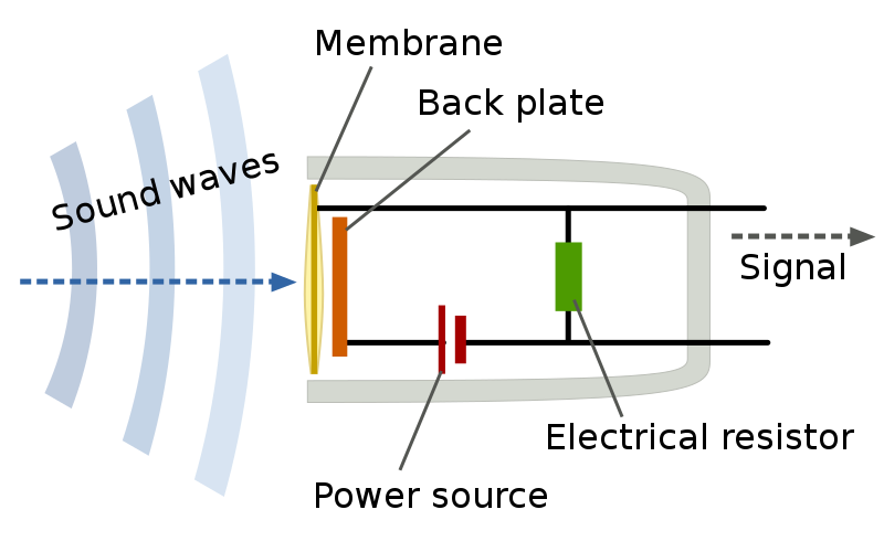 Condenser Microphone vs Dynamic Pros, Cons, and Use Cases TYX Studios