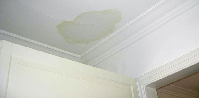 Interior Signs of a Roof Leak