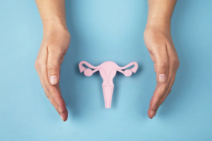 Image representation of uterus in between two hands