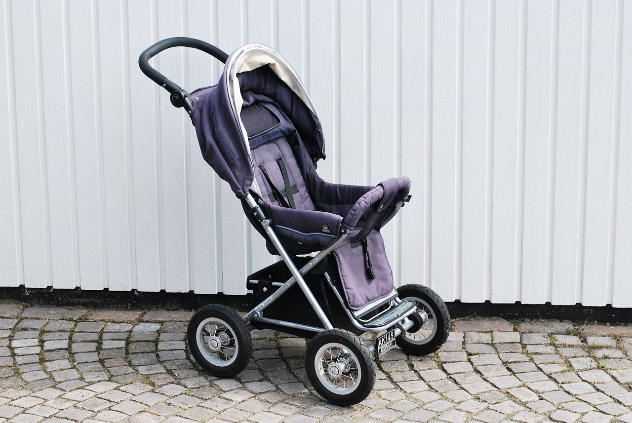 hauck kinderwagen travel n care