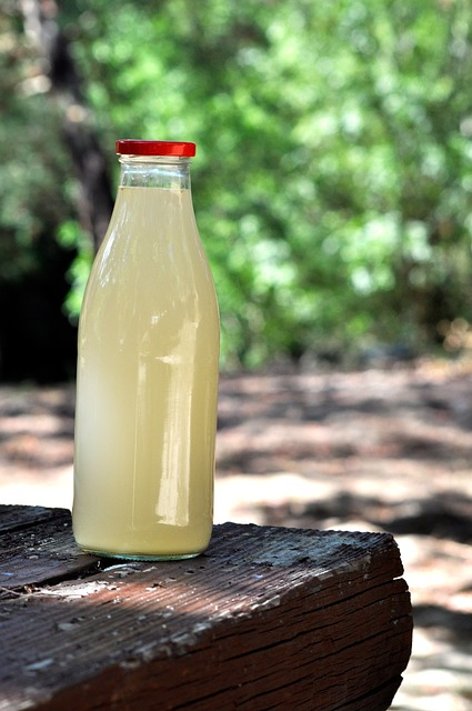 bottle, ginger beer, homemade