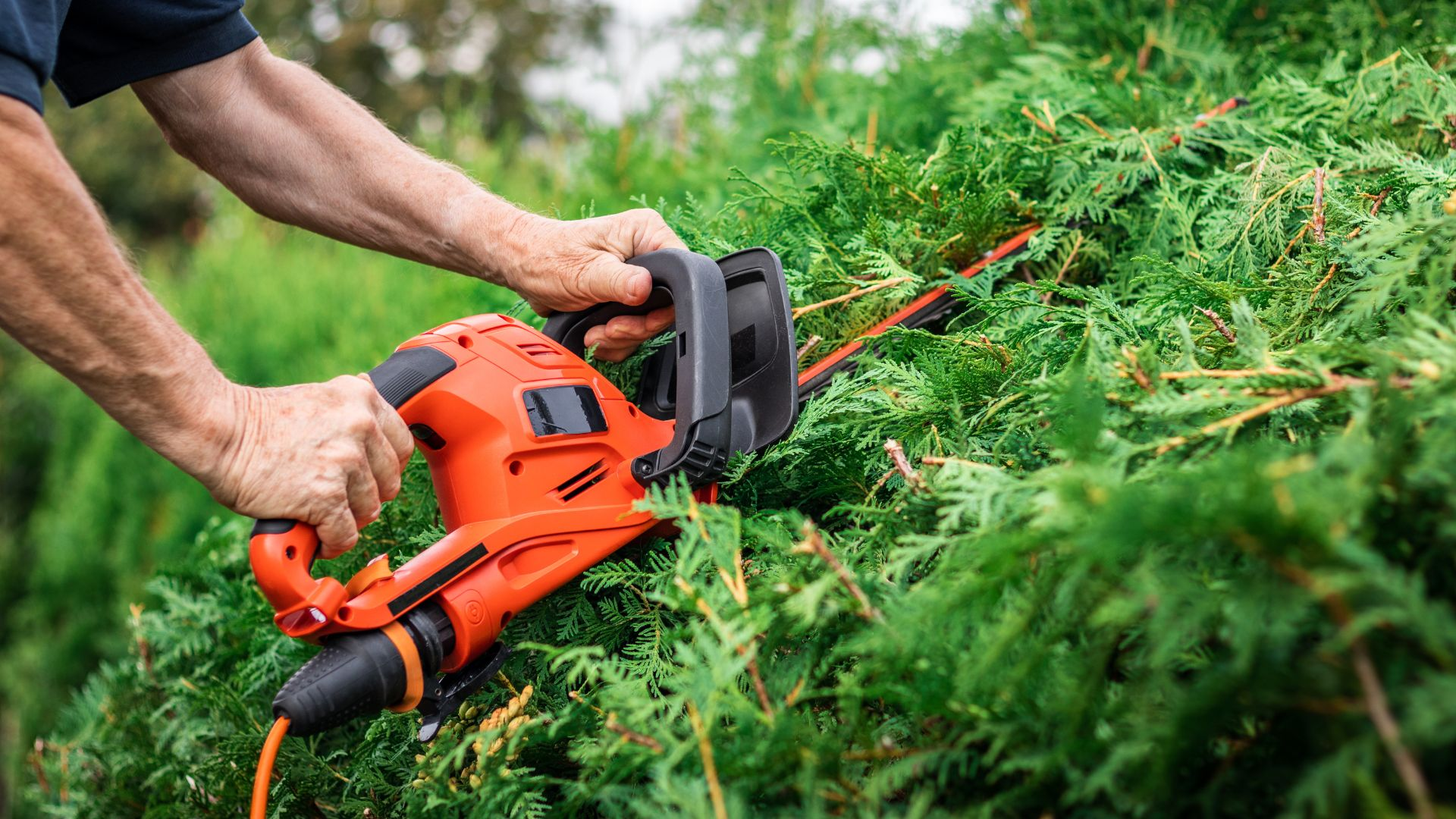 An image of a person using a hedge trimmer to cut back foliage too close to the home.