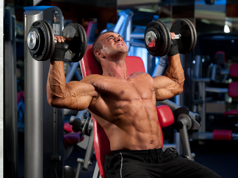 Seated Dumbbell Shoulder Press