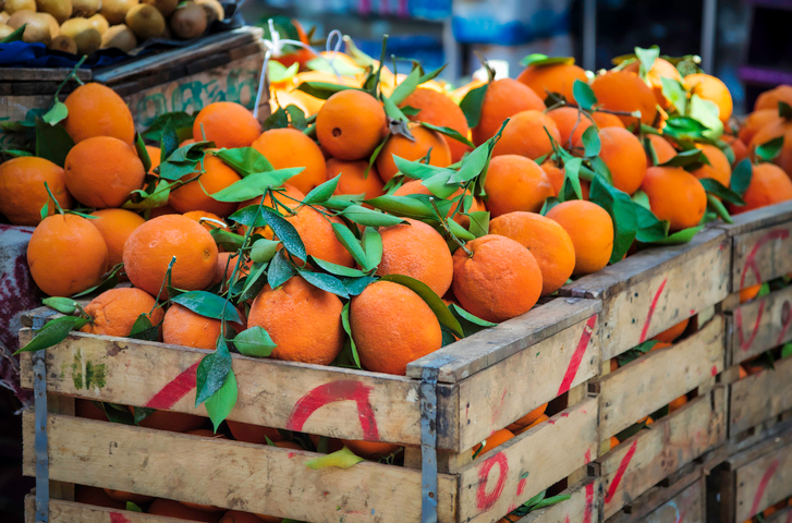 Oranges of Morocco.