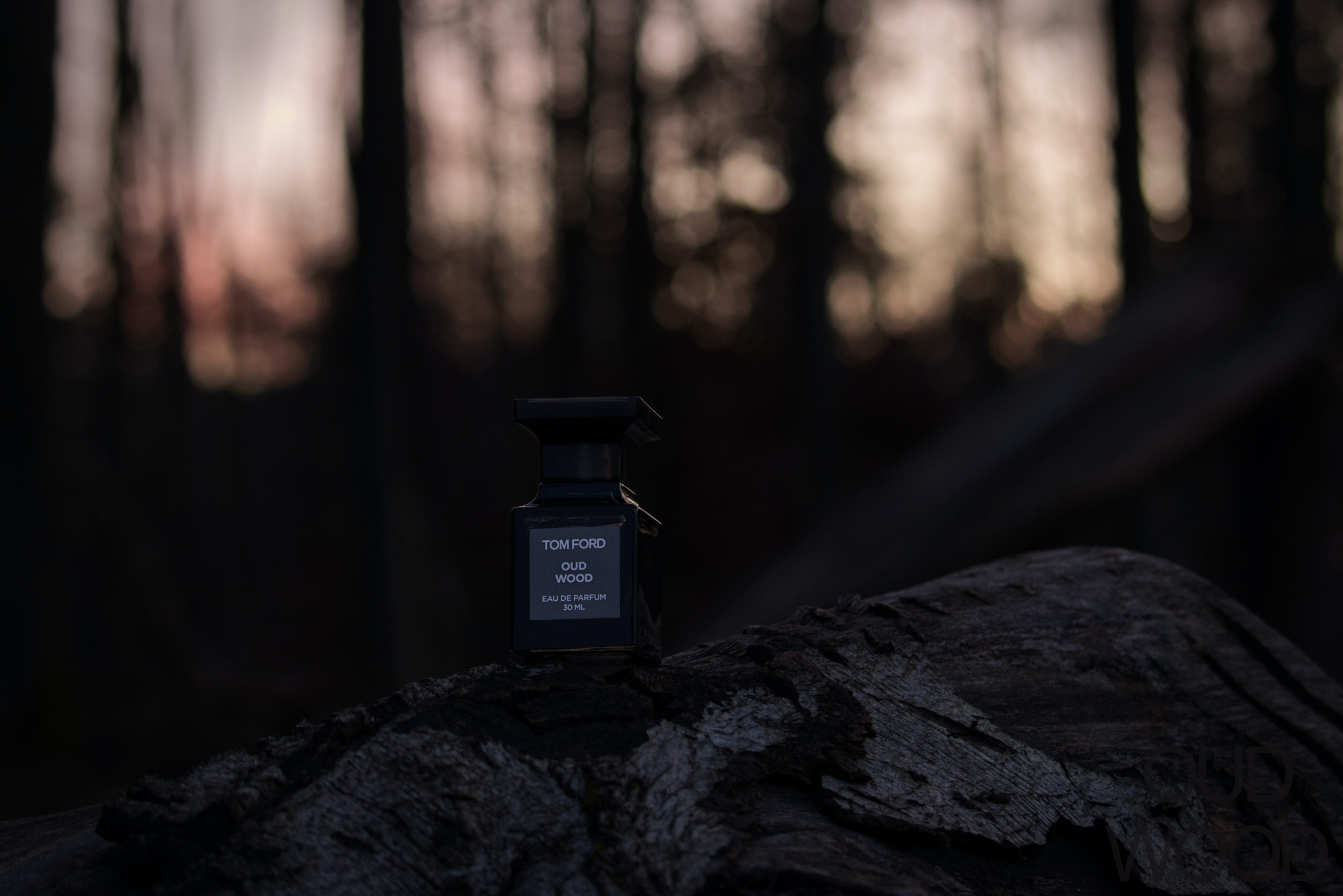Tom Ford offers a range of fragrances | Photo by Ben Seibel from Unsplash