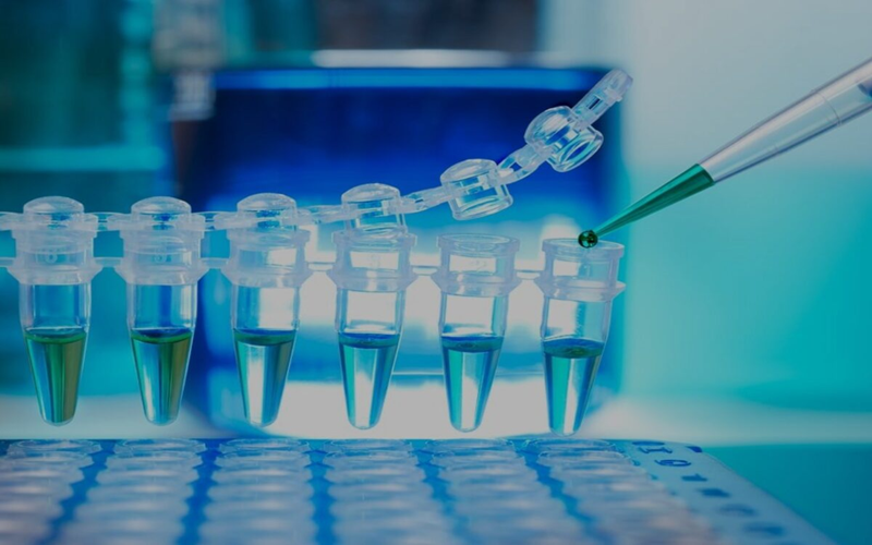 Injection Molding Used In Medical