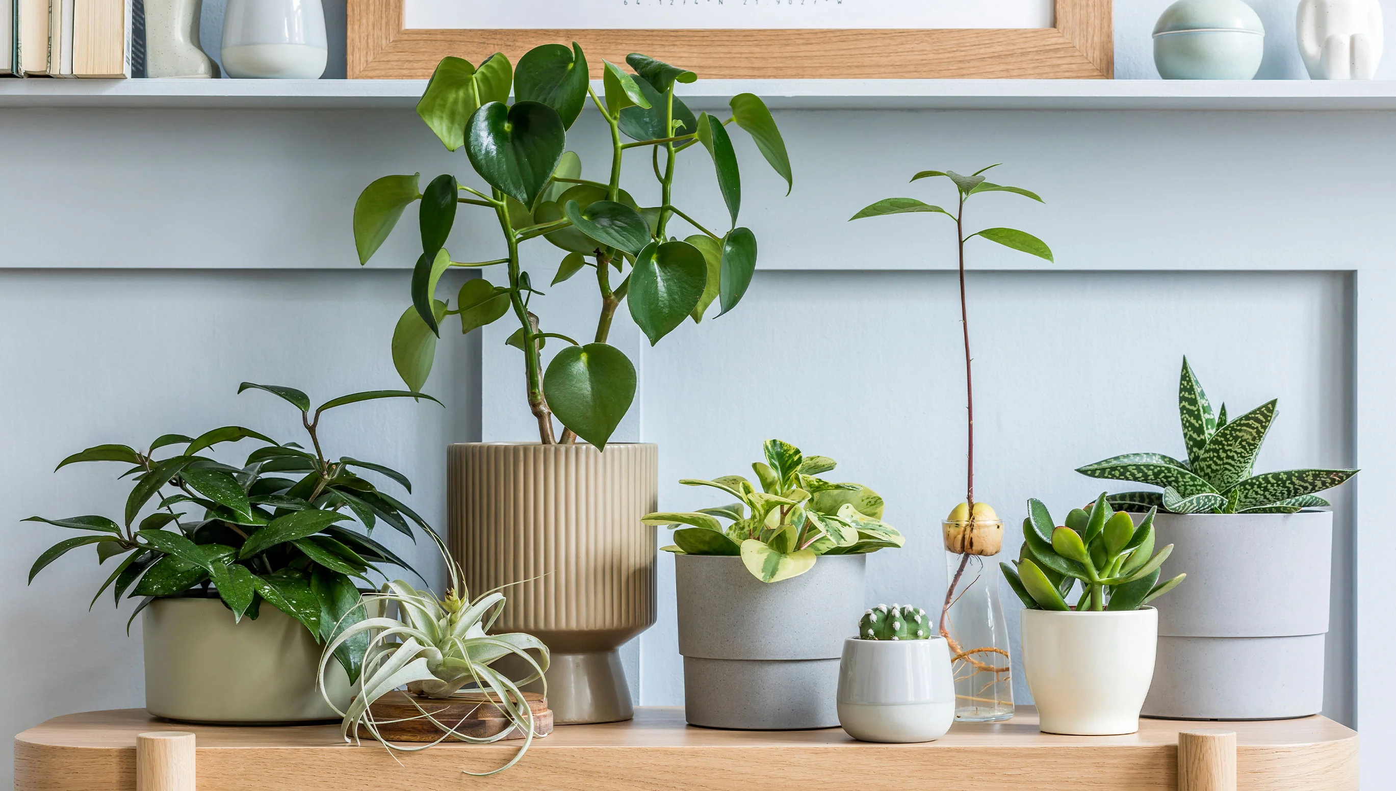 村屋露台變身術:新手必學 4 步村屋種植指南,打造你的專屬「空中花園」! 3 09b420ed ac9e 4f01 b2ed 3d8df173cba6