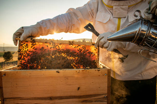 good beekeeper