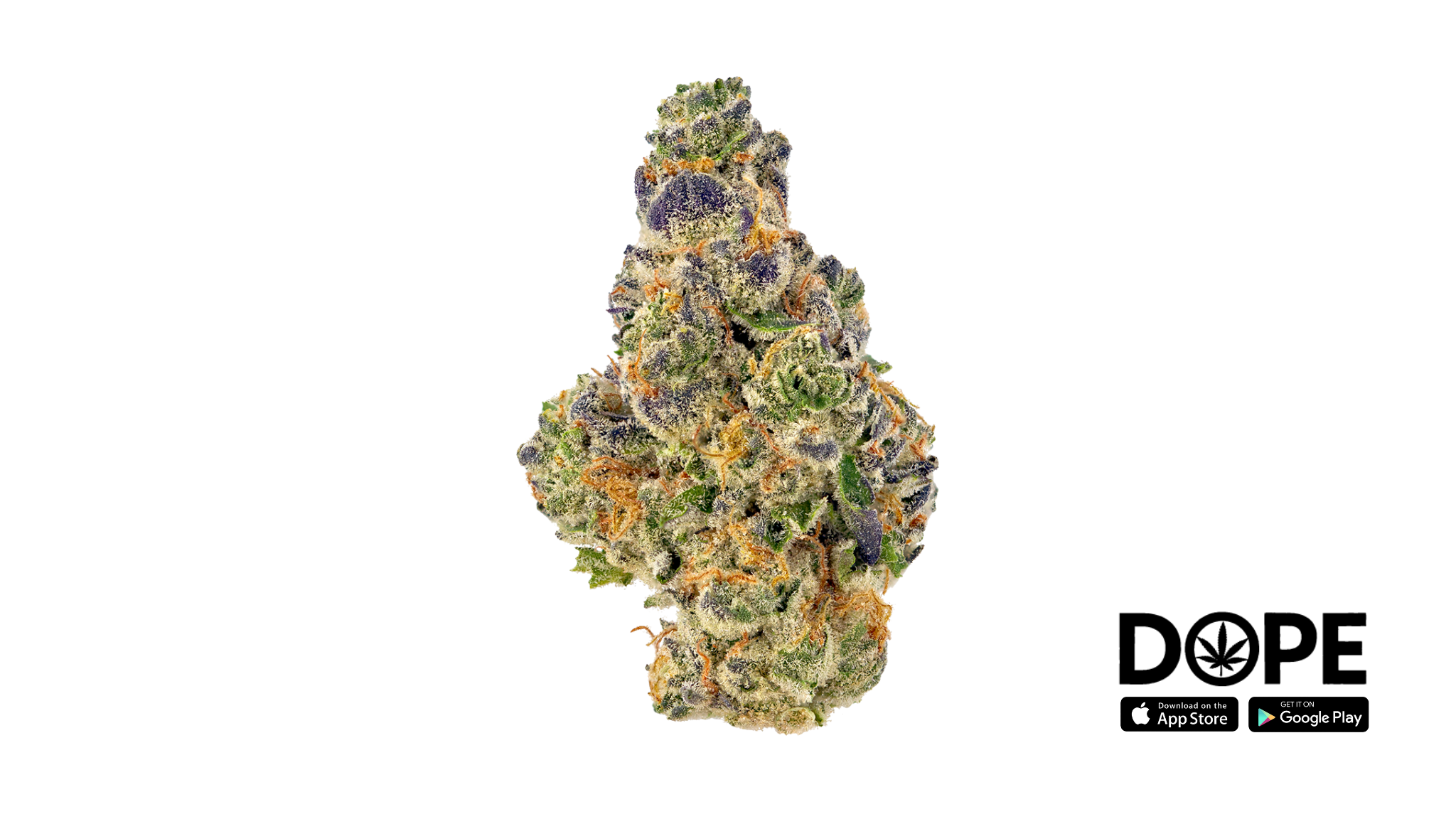 An assortment of the top ten cannabis strains of 2024 displayed in a vibrant setting.