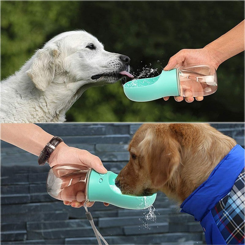 all needs for pets