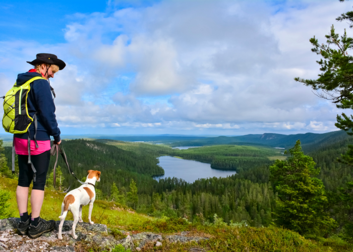 10 Best Off Leash Dog Breeds (for Outdoor Adventures)