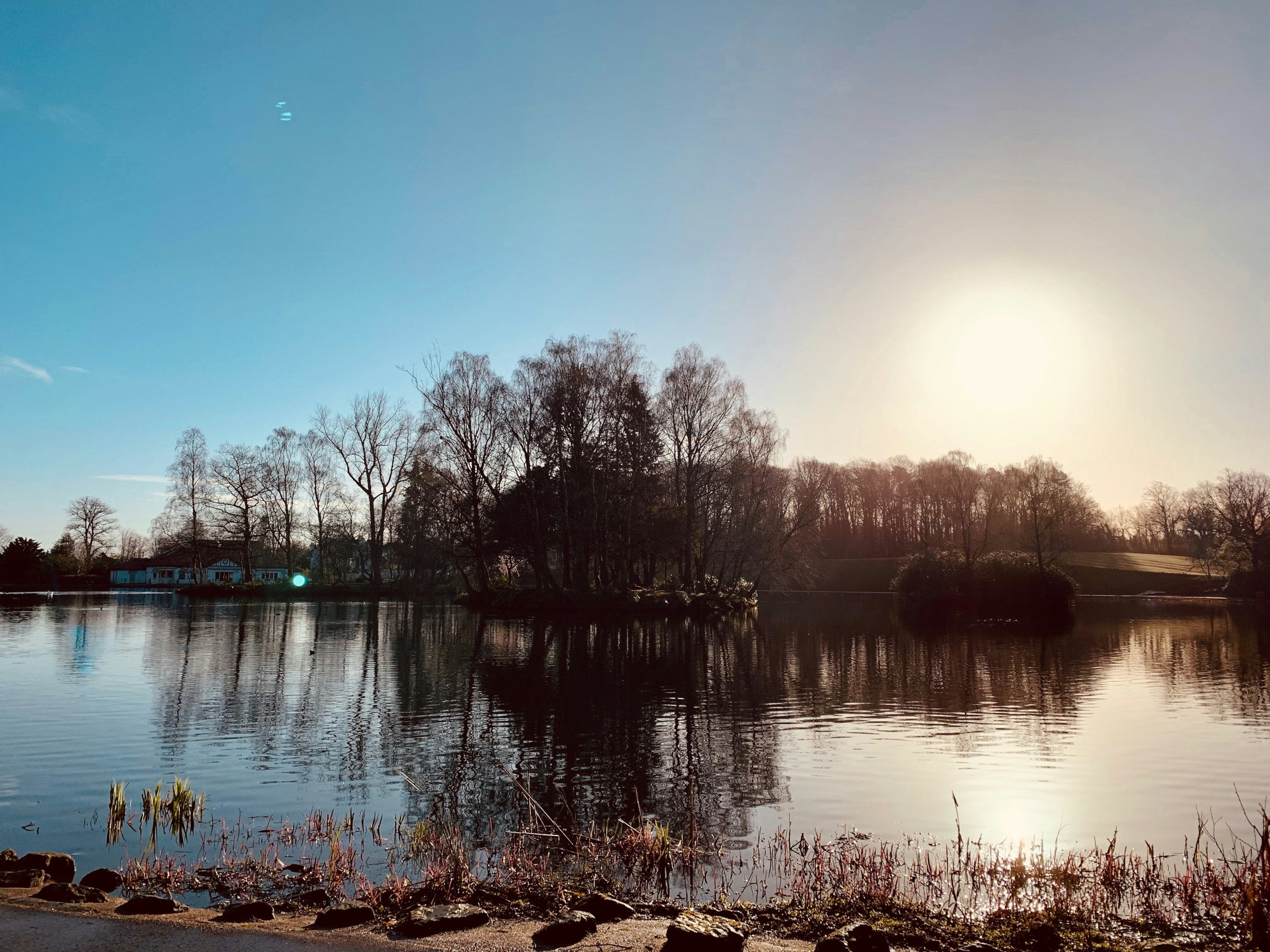 Giffnock is a popular option for those looking for suburban living in glasgow 