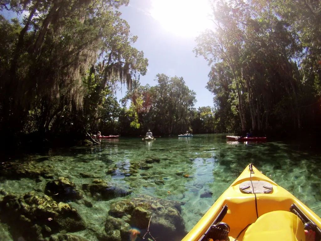 Crystal River Florida Kayaking