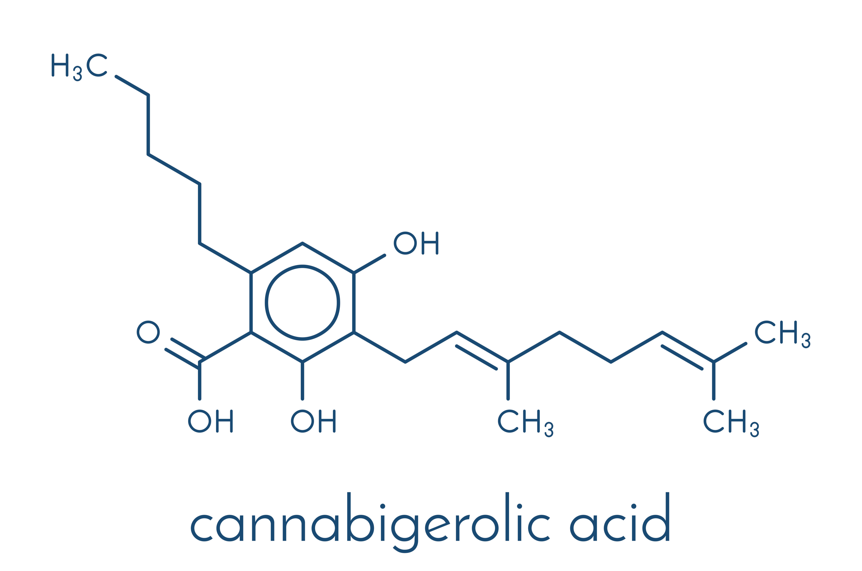 CBDA Vs CBD: Comparing The Two Cannabinoids And Their Benefits - Buy ...