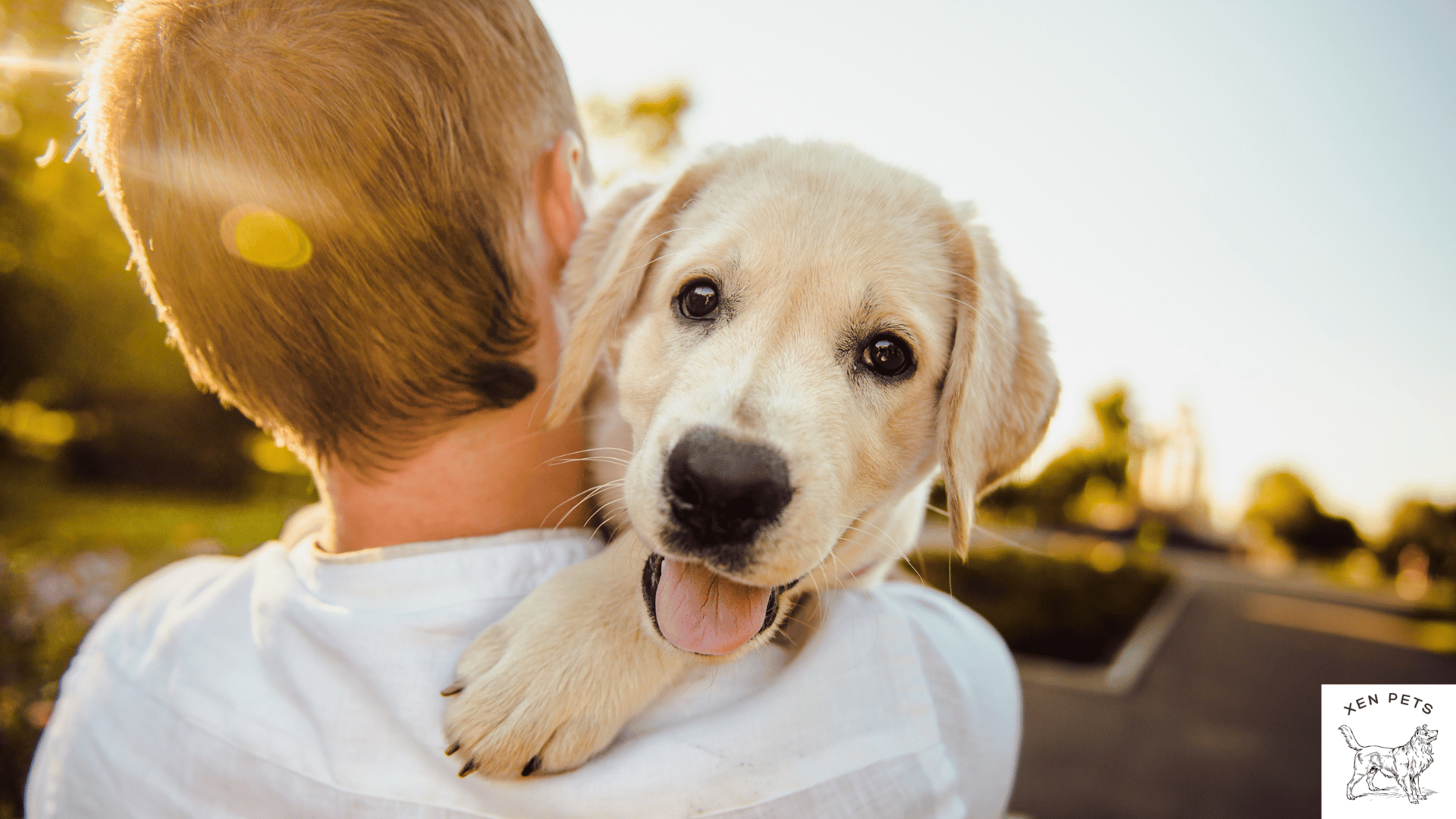 man holding a happy dog