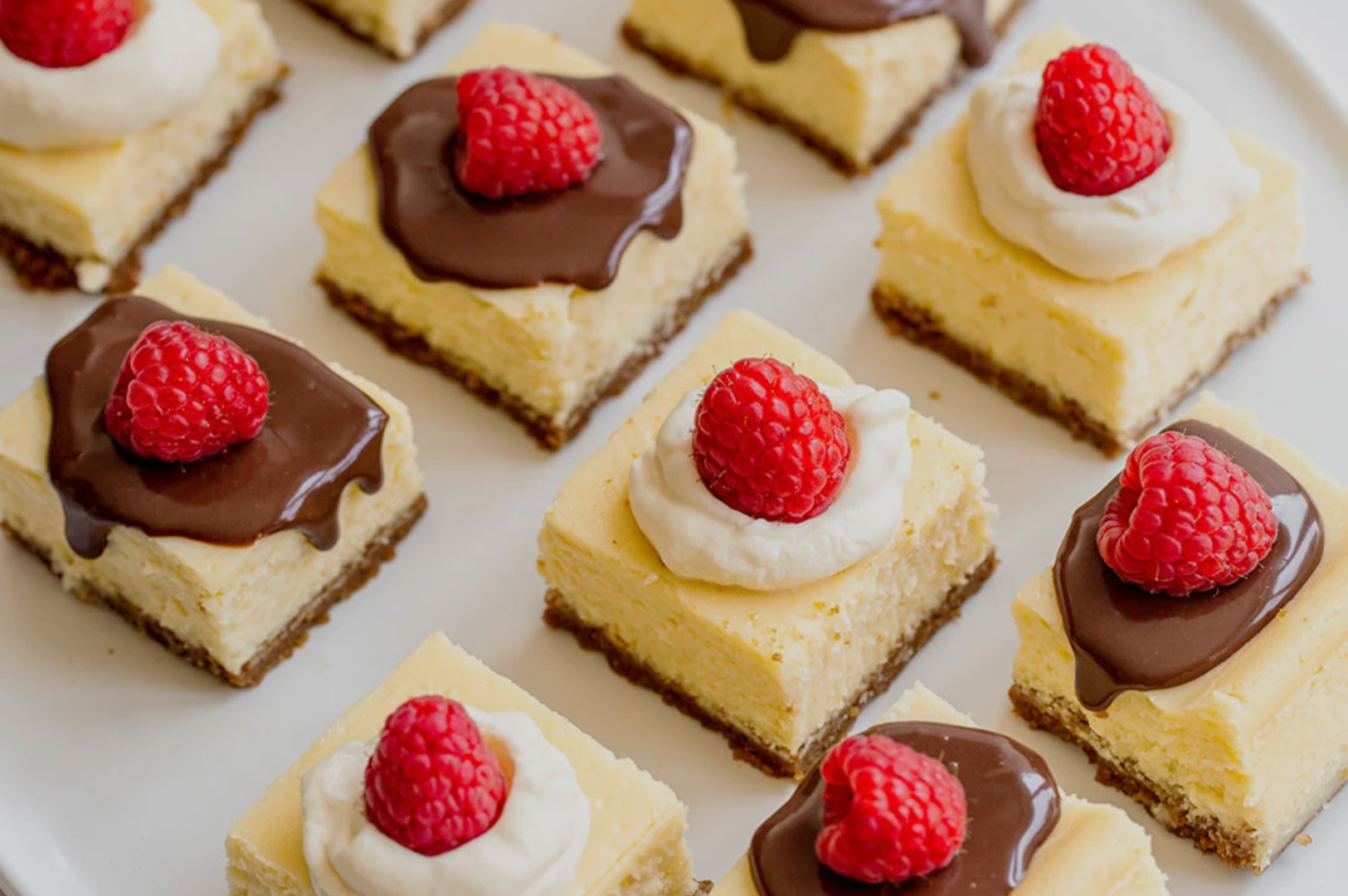 Small cheesecake squares with chocolate ganache, whipped cream, and fresh raspberries on top, arranged on a white platter, creating a tempting dessert display.