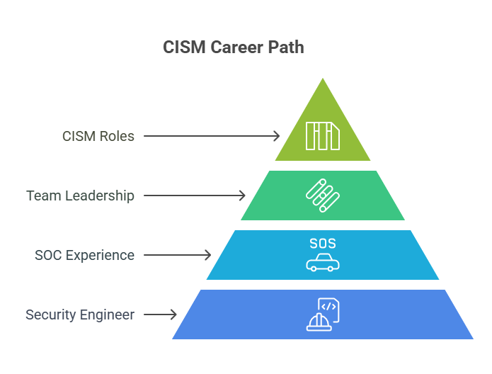 cism career path