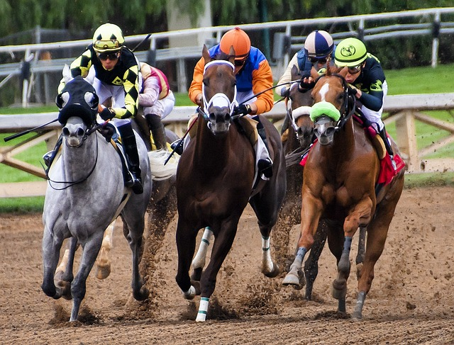 horses, racing, race