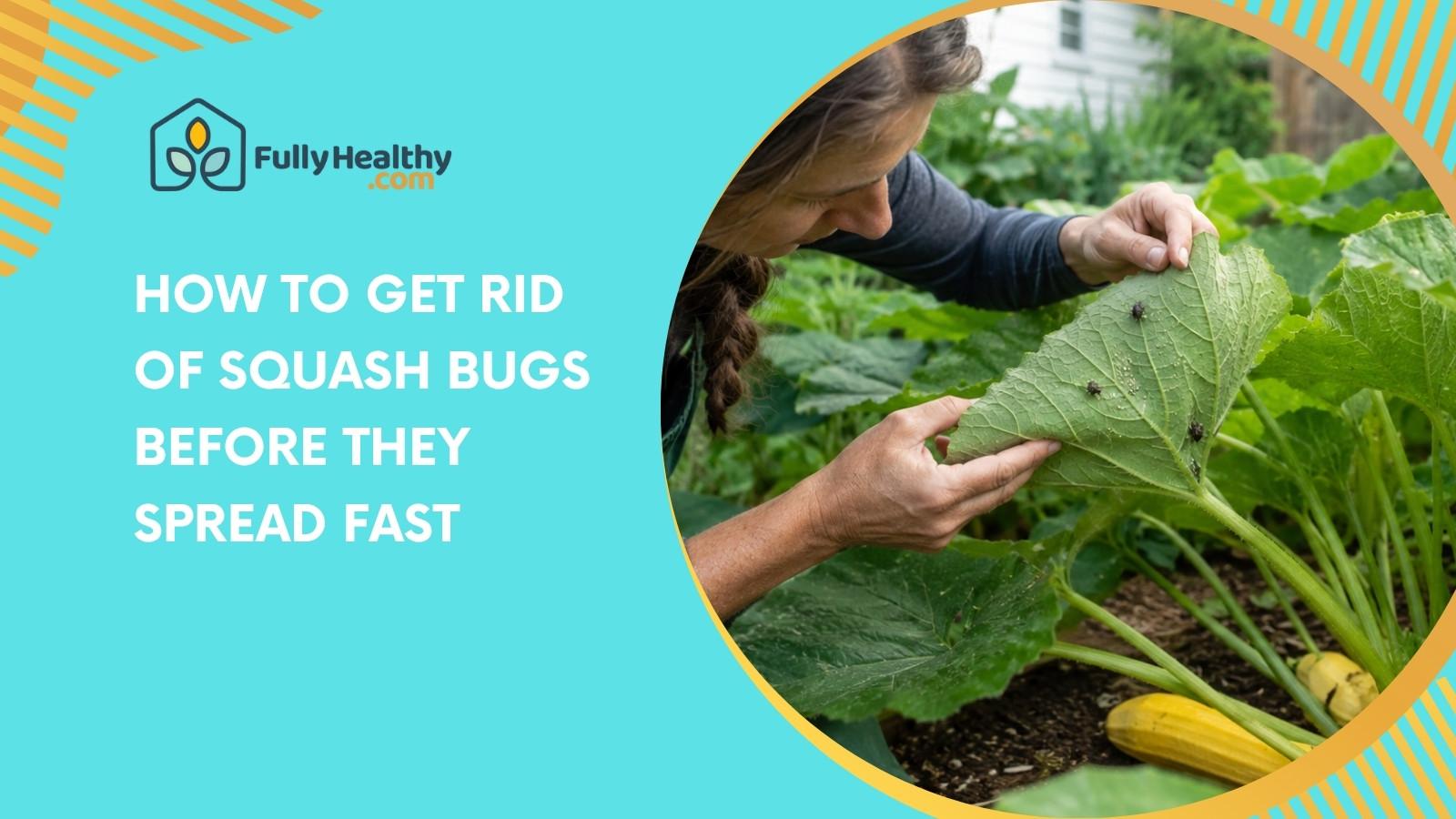 How To Get Rid Of Squash Bugs Before They Spread Fast