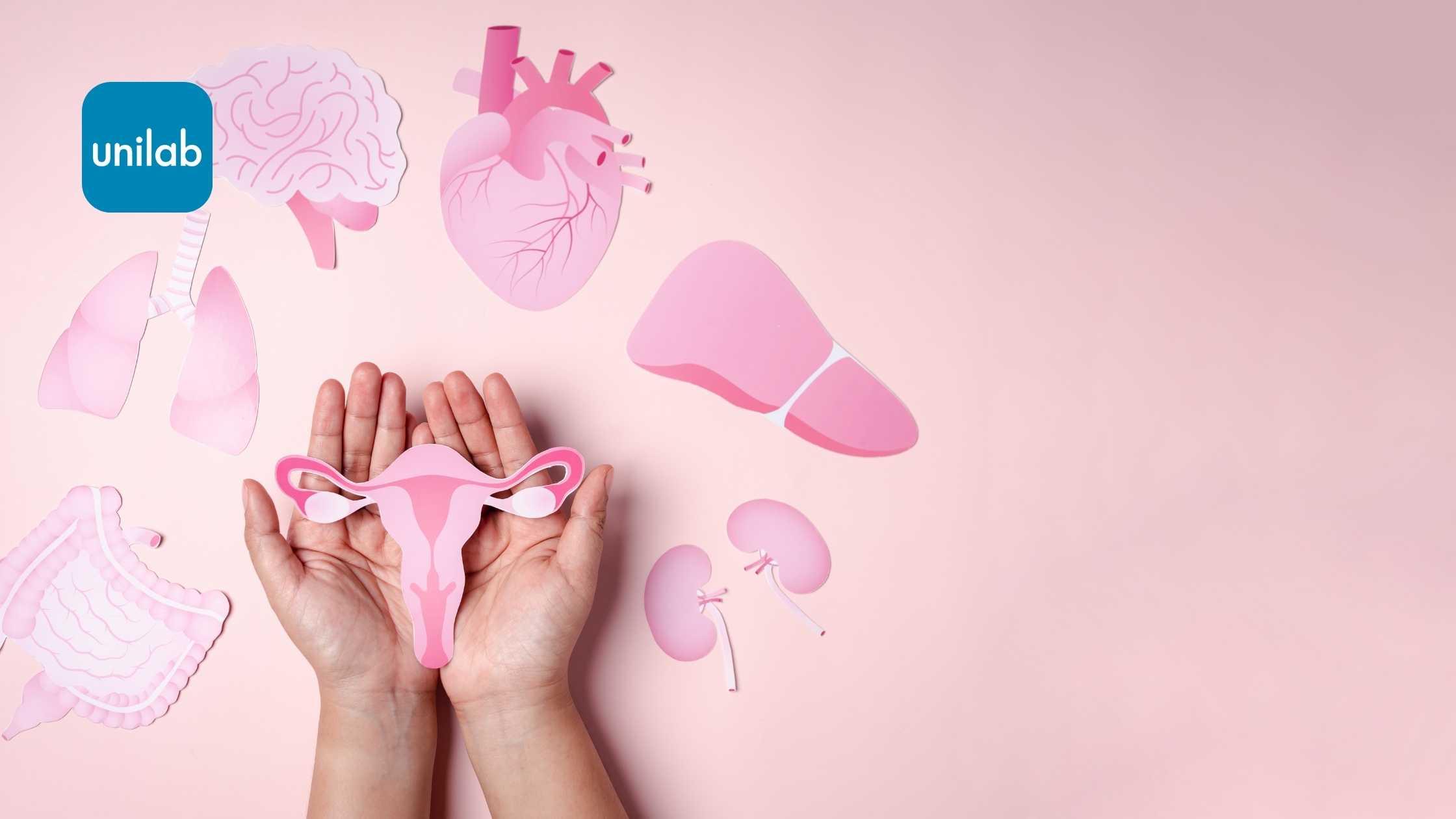Female organs in pink