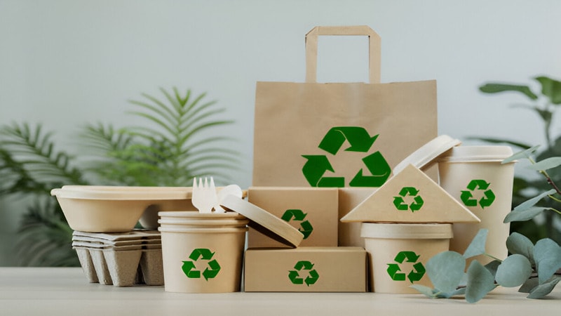 eco-friendly paper tableware and packaging made from biodegradable materials