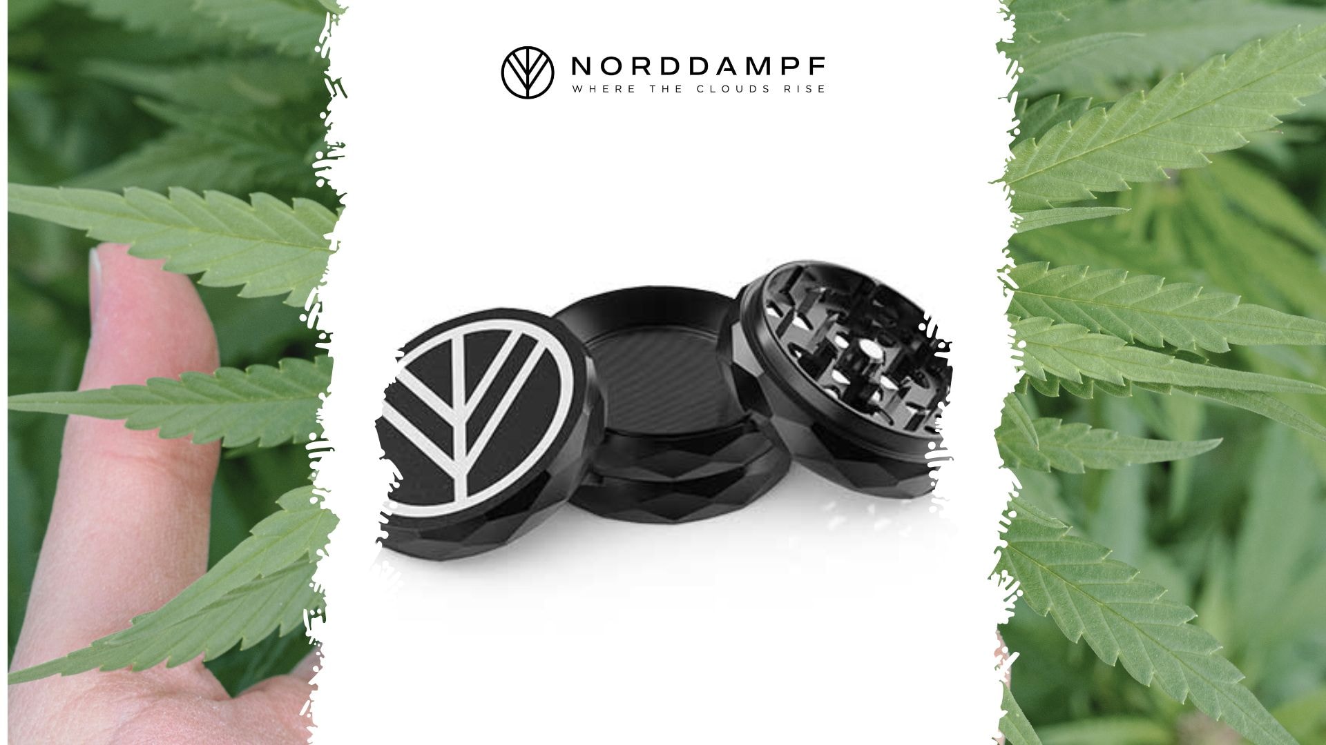 Norddampf Grinder