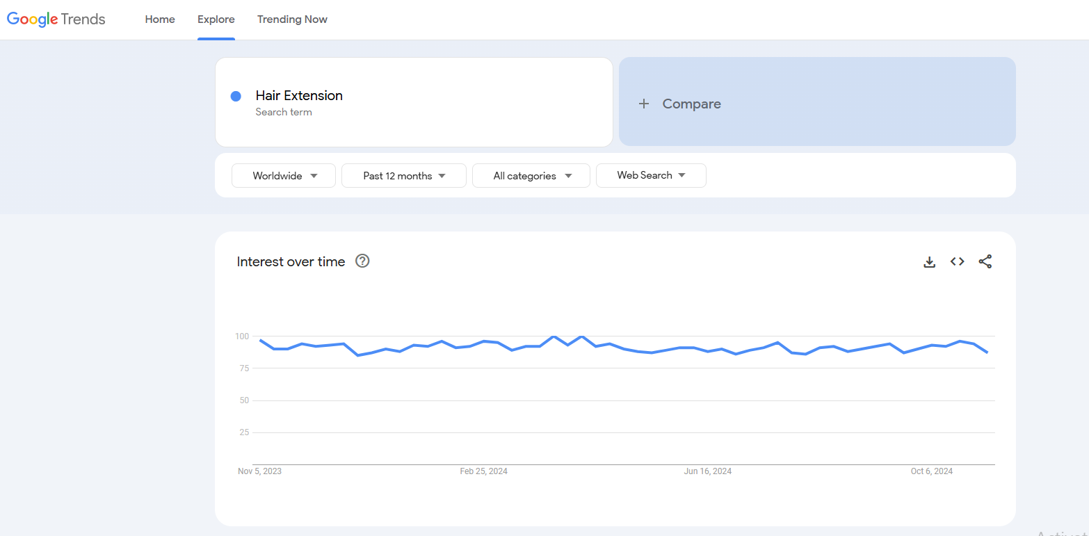 hair extension google trends