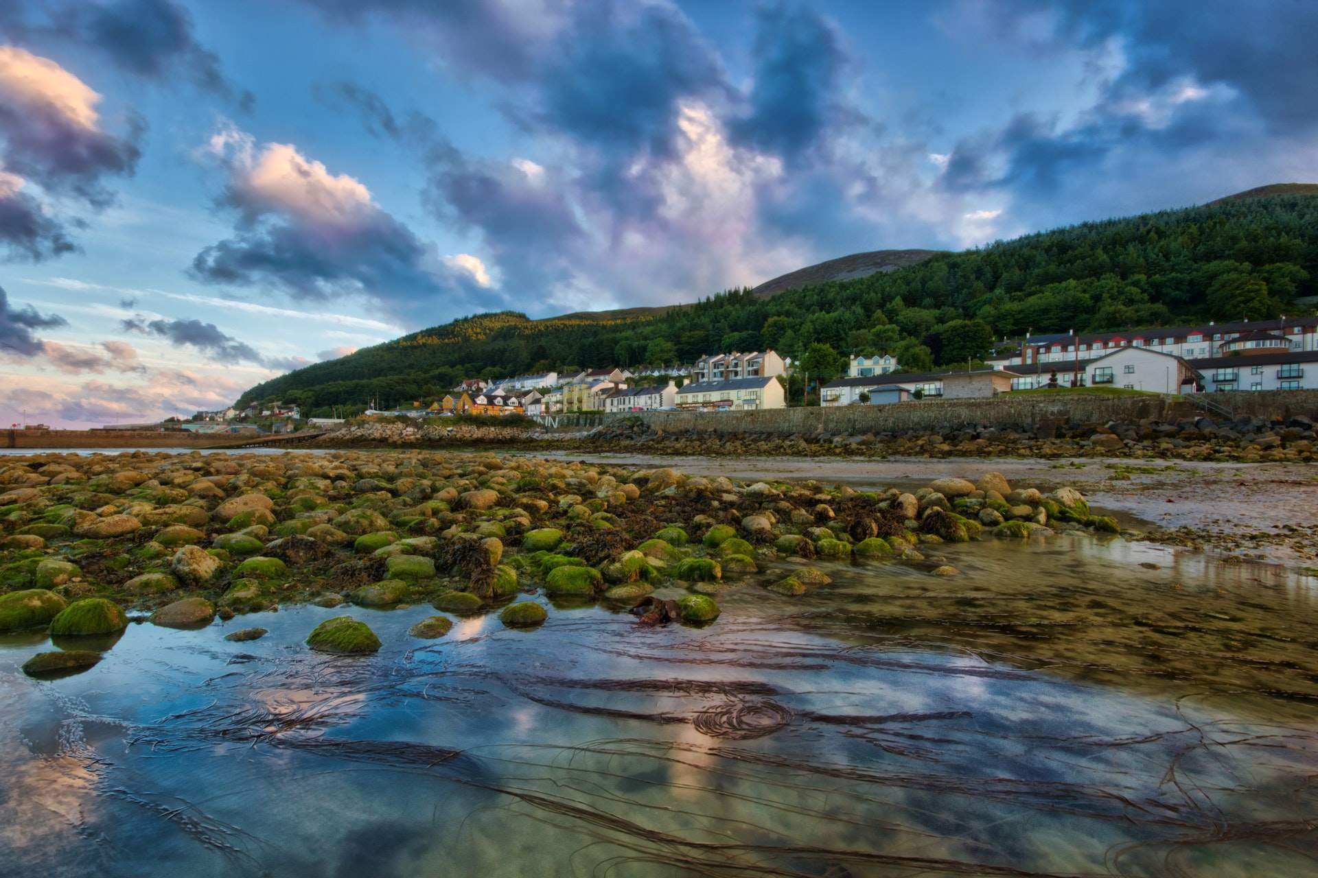 People attending The Welsh Construction Shows