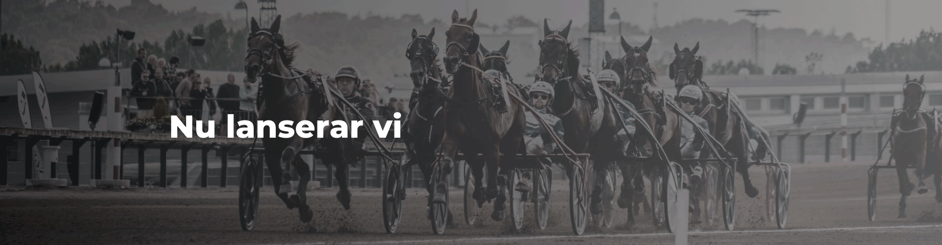 TravEss - en ny travsajt med expertanalyser, DD-tips och andeelar till V75 & V86 och ännu mer!