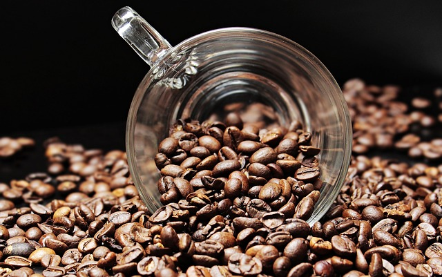 Geschäftsidee, Businessplan und dann von der Idee zur Eröffnung – folge unserem Leitfaden für deinen Coffeeshop