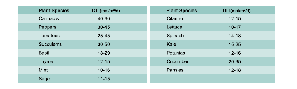DLI for 15 common plants