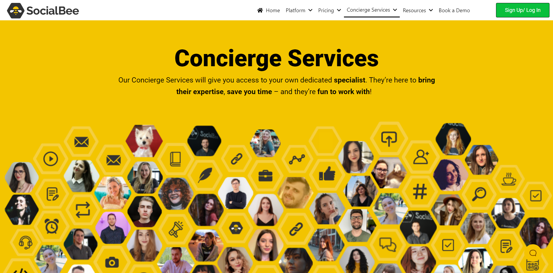 socialbee concierge service social media posting servics and more