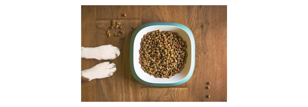 dog food, dog bowl, dog kibble