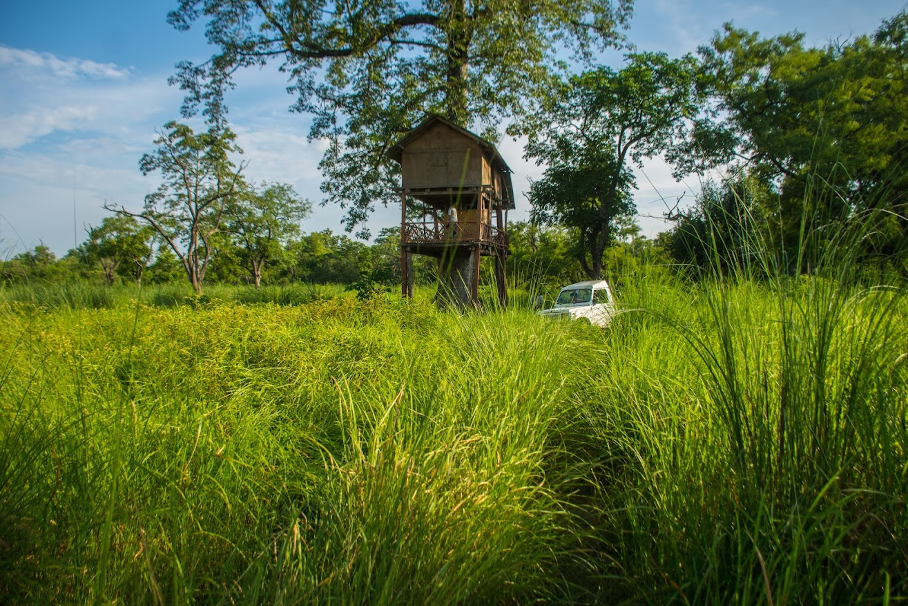 "Machhan", the tree house in Shiva community forest