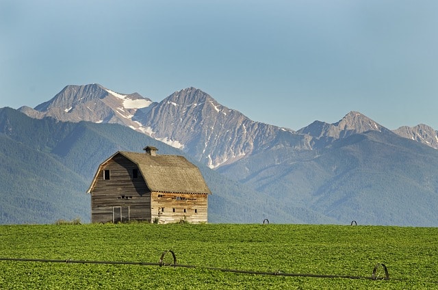 montana, barn, farming