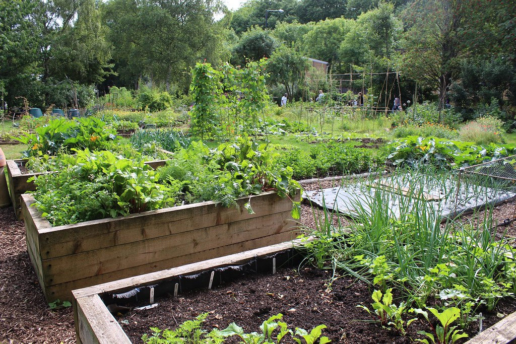 The 7 Most Practical Raised Garden Bed Plans – Humboldts Secret Supplies